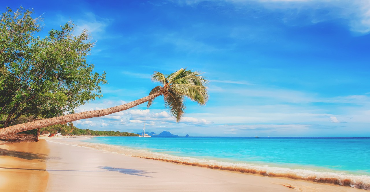 Karibská pláž s palmami a zlatavým pískem.