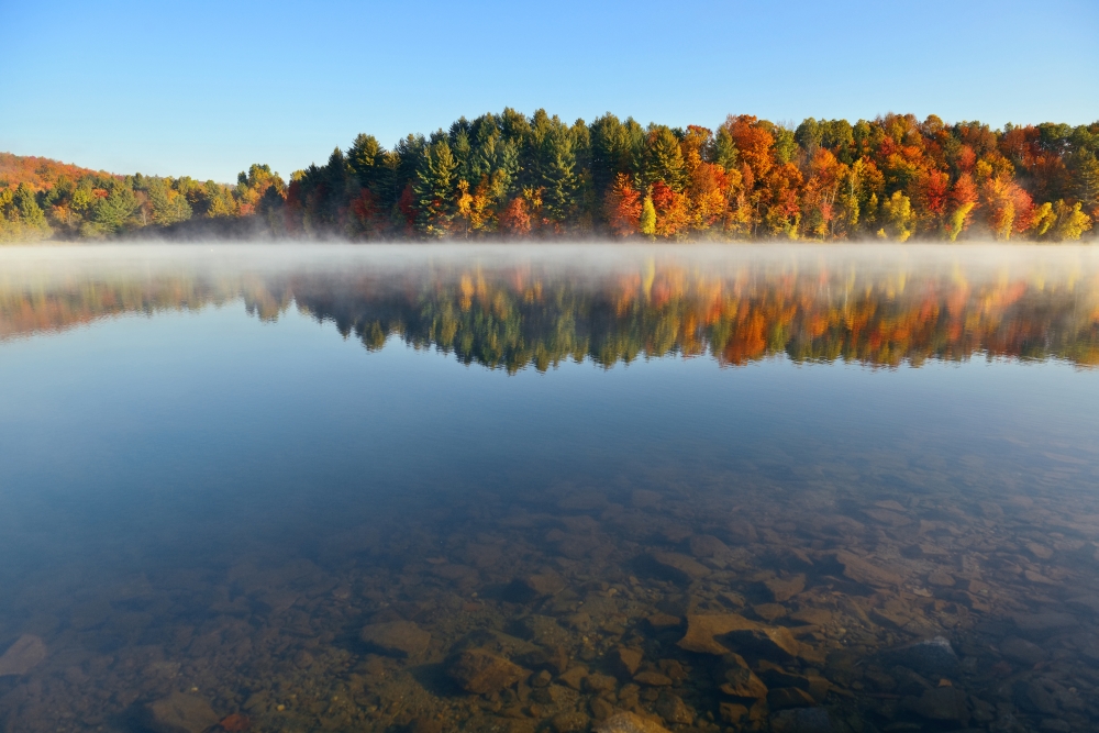 bigstock-Lake-fog-with-Autumn-foliage-a-255586492